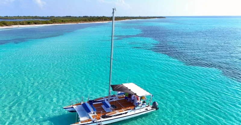 Riviera Maya: 4-Hour Turtle Sanctuary Snorkel by Luxury Catamaran, swim with turtles in Akumal