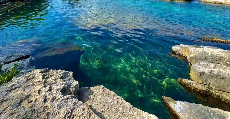 Akumal: Swim With Turtles at Yal-Ku Lagoon with Snorkeling & Lunch, swim with turtles in Akumal