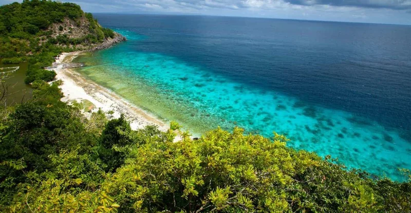 Dumaguete: Apo Island Full-Day Turtle Snorkeling, swim with turtles in Apo Island