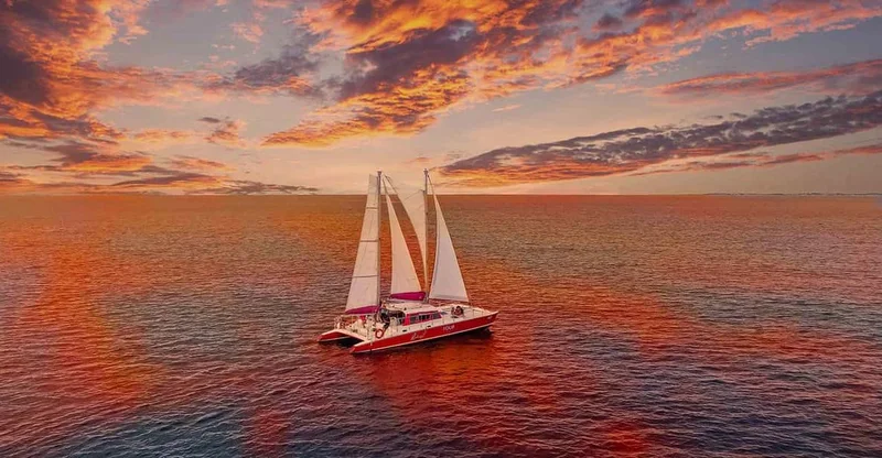 Aruba: Snorkel with Turtles, WW2 Shipwreck & Sunset BBQ Sail, swim with turtles in Aruba