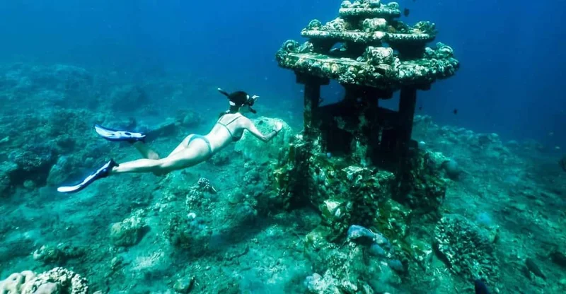 Bali: Amed Turtle Point & Underwater Temple Snorkeling, swim with turtles in Bali