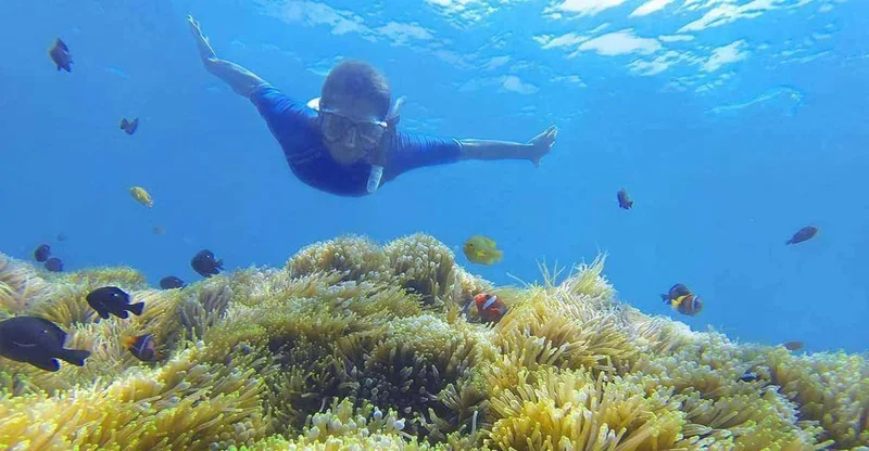 Amed: Private Snorkeling to 4 Best Spots, swim with turtles in Bali