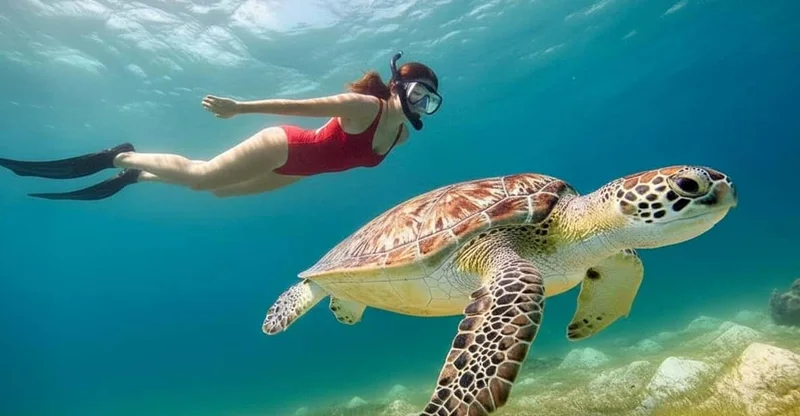 Bali: Blue Lagoon & Tanjung Jepun Snorkeling, swim with turtles in Bali