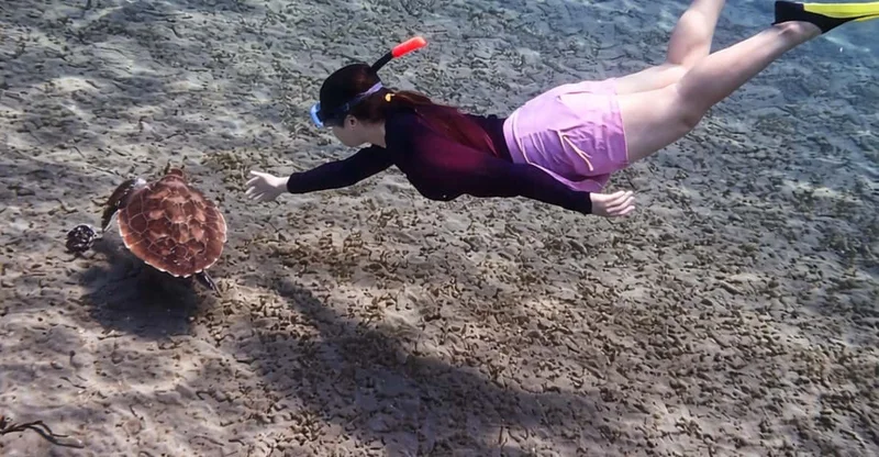 Amed: 3-Spot Snorkeling & Shipwreck by Traditional Jukung, swim with turtles in Bali