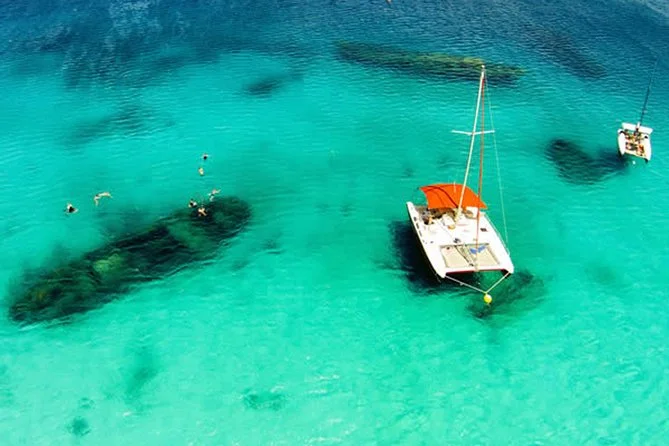 Barbados: Catamaran Turtle Snorkel with Lunch & Open Bar, swim with turtles in Barbados