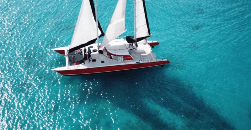 Barbados: Catamaran Cruise with Snorkeling & Lunch, swim with turtles in Barbados