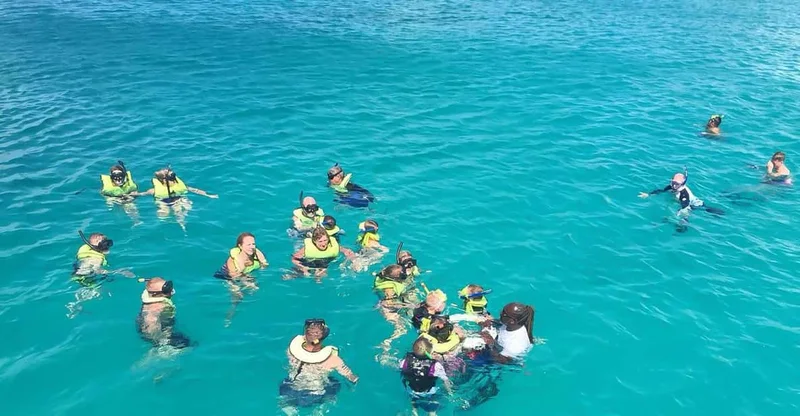 Bridgetown: Carlisle Bay Turtle & Shipwreck Boat Cruise, swim with turtles in Barbados