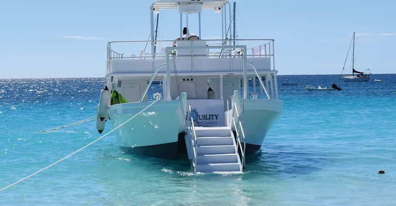 Barbados: Carlisle Bay Beach Day & Turtle Swim, swim with turtles in Barbados