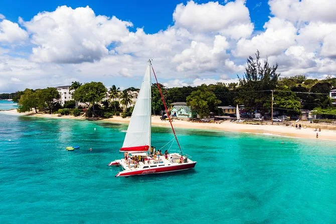 Barbados: 3-Hour Catamaran Turtle Snorkel with Open Bar, swim with turtles in Barbados