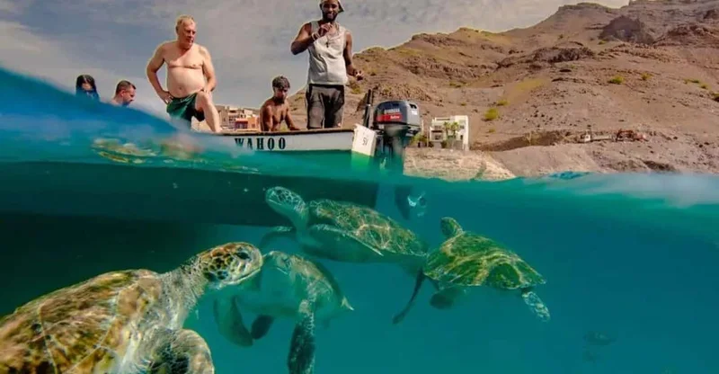 São Vicente: Snorkel & Swim with Sea Turtles in the Atlantic, swim with turtles in São Vicente, Cape Verde