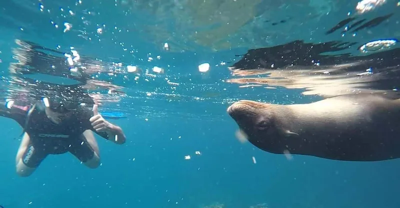 San Cristóbal: Kicker Rock Full-Day Snorkel Tour, swim with turtles in Galápagos Islands, Ecuador