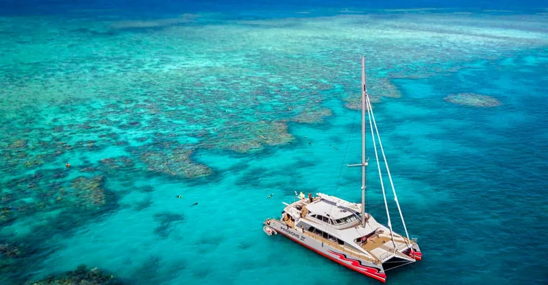 Cairns: Great Barrier Reef Premium Snorkeling Cruise, swim with turtles in Great Barrier Reef