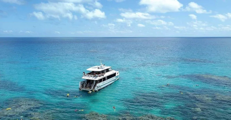 Port Douglas: Outer Great Barrier Reef Snorkeling Cruise, swim with turtles in Great Barrier Reef