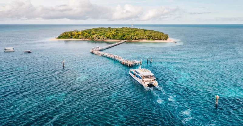 Cairns: Green Island Snorkeling & Glass-Bottom Boat, swim with turtles in Great Barrier Reef
