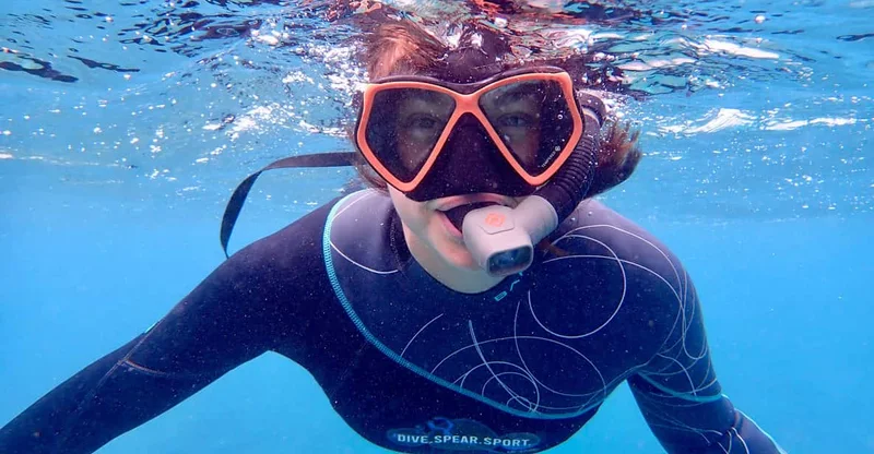 Agnes Water / 1770: Southern Great Barrier Reef Snorkeling Day Trip, swim with turtles in Great Barrier Reef