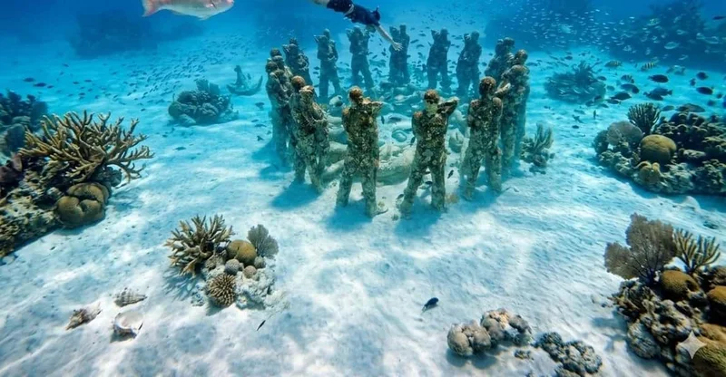 Gili Air: 3 Islands Snorkeling with Turtles & GoPro, swim with turtles in Gili Islands