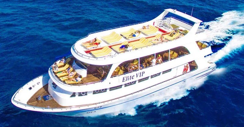 Marsa Alam: Elite VIP Turtle Bay Snorkel with Buffet, swim with turtles in Marsa Alam, Egypt