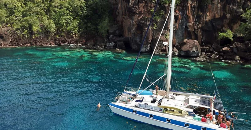 Les Anses-d'Arlet: Catamaran Cruise with Turtle Watching, swim with turtles in Martinique