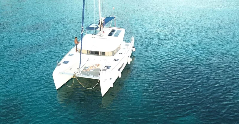 Martinique: Dolphin & Turtle Catamaran Day Tour, swim with turtles in Martinique