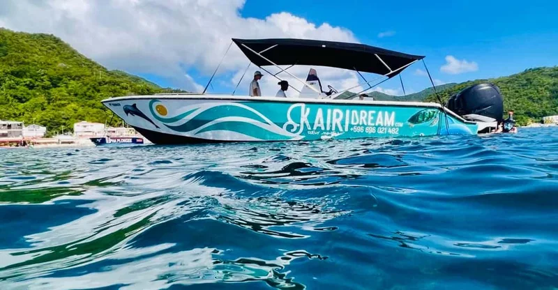 Martinique: Full-Day Speedboat with Dolphins & Turtles, swim with turtles in Martinique