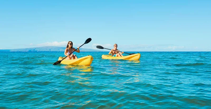 Maui: Turtle Town Kayak & Snorkel Tour, swim with turtles in Maui