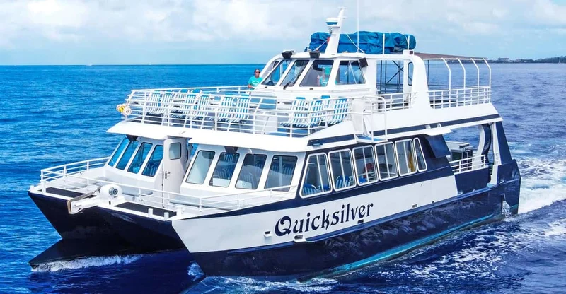 Maui: Turtle Town Morning Snorkel Cruise from Ma'alaea, swim with turtles in Maui