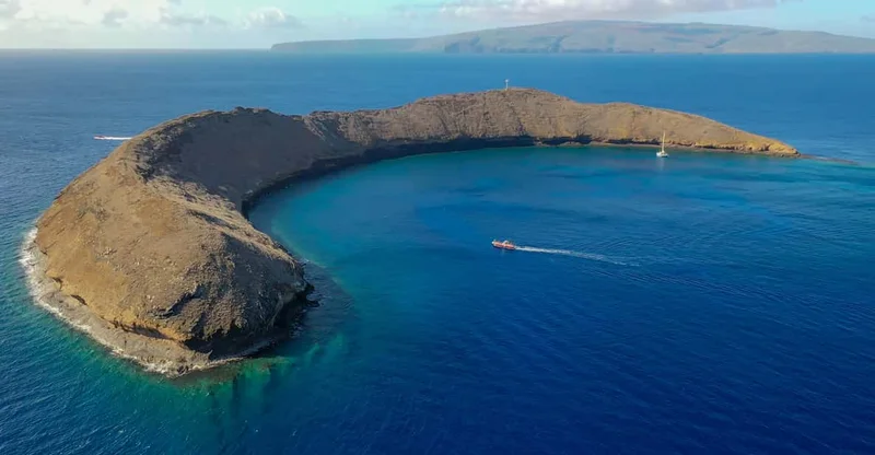 From Kihei: Molokini Crater & Turtle Town Snorkel, swim with turtles in Maui