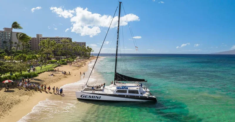 Maui: Snorkeling & Sailing Adventure with Buffet Lunch, swim with turtles in Maui