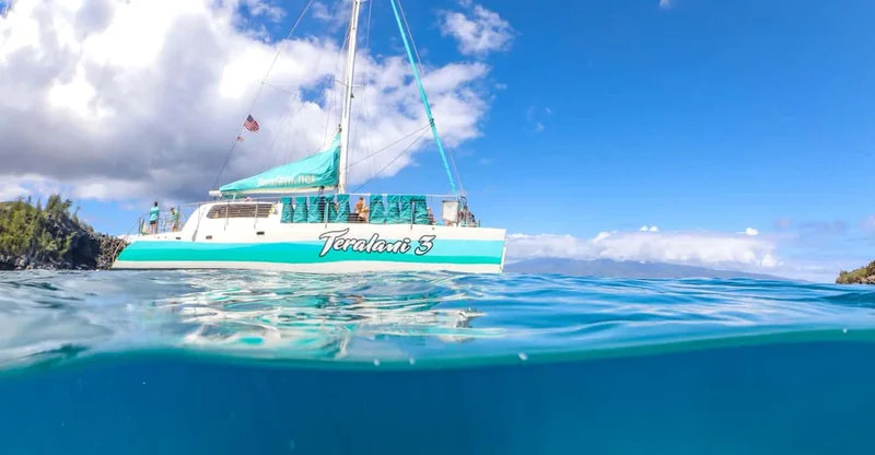 Maui: Ka'anapali 5-Hour Snorkel Sail with BBQ & Open Bar, swim with turtles in Maui