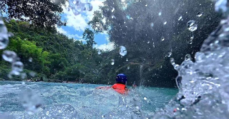 Moalboal: Sardine Run & Kawasan Falls Day Trip, swim with turtles in Moalboal