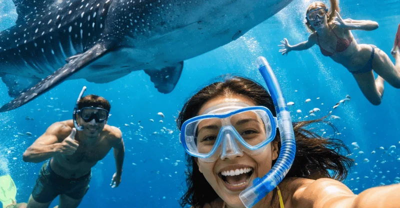 Cebu Day Tour: Moalboal Sardines, Kawasan Falls & Oslob Whale Sharks, swim with turtles in Moalboal