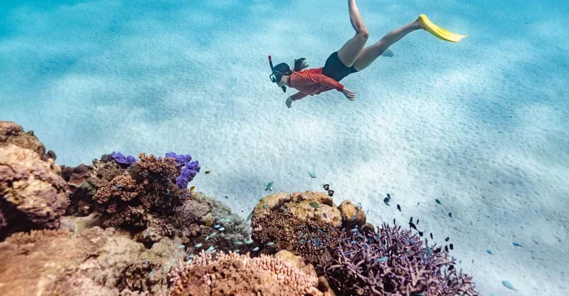 Exmouth: Guided Ningaloo Reef Snorkel Adventure, swim with turtles in Ningaloo Reef