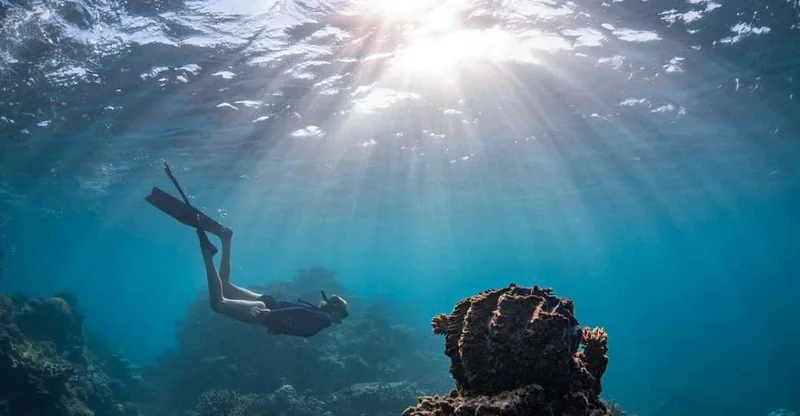 Coral Bay: Full-Day Ningaloo Reef Snorkel with Manta Rays, swim with turtles in Ningaloo Reef