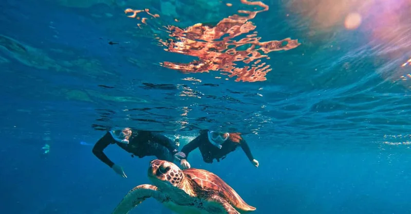 Ishigaki: Blue Cave & Turtle Snorkeling Tour, swim with turtles in Okinawa, Japan