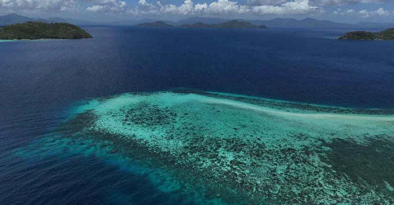 El Nido / Sibaltan: Private Snorkeling & Secret Islands with Turtles, swim with turtles in Palawan
