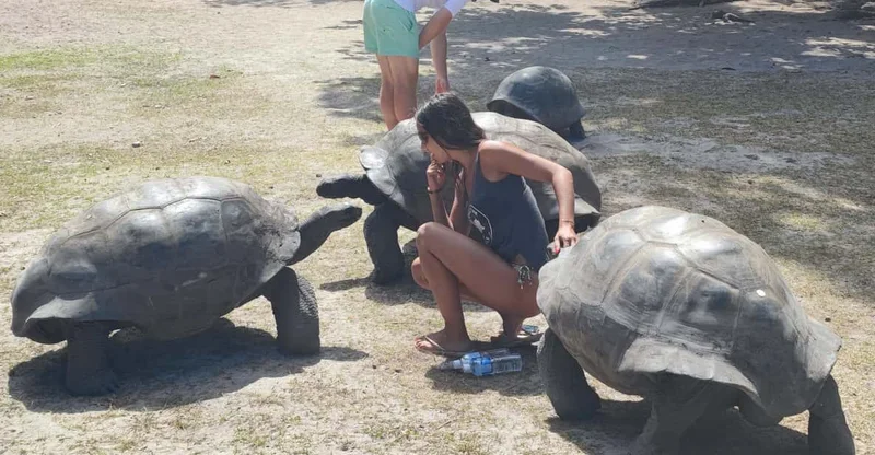 Curieuse Guided Tour, St Pierre & 2 Snorkel Stops with BBQ, swim with turtles in Praslin, Seychelles