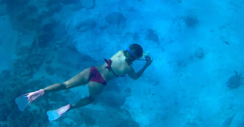 Curieuse & St Pierre Snorkeling Half-Day Trip, swim with turtles in Praslin, Seychelles