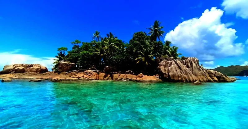 Snorkeling St Pierre Marine Park & Anse Petite Cour, swim with turtles in Praslin, Seychelles