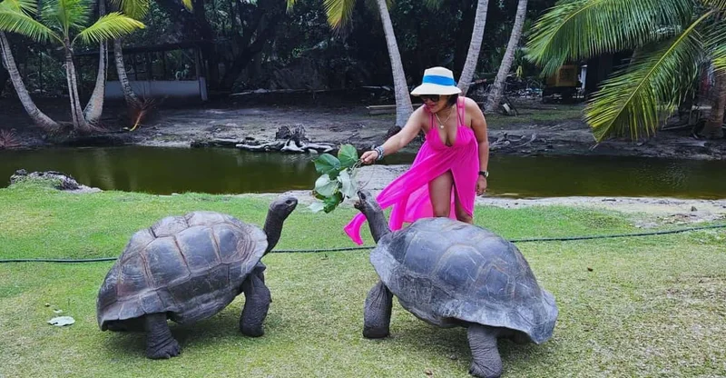 Curieuse & St Pierre Island Adventure with Creole BBQ, swim with turtles in Praslin, Seychelles