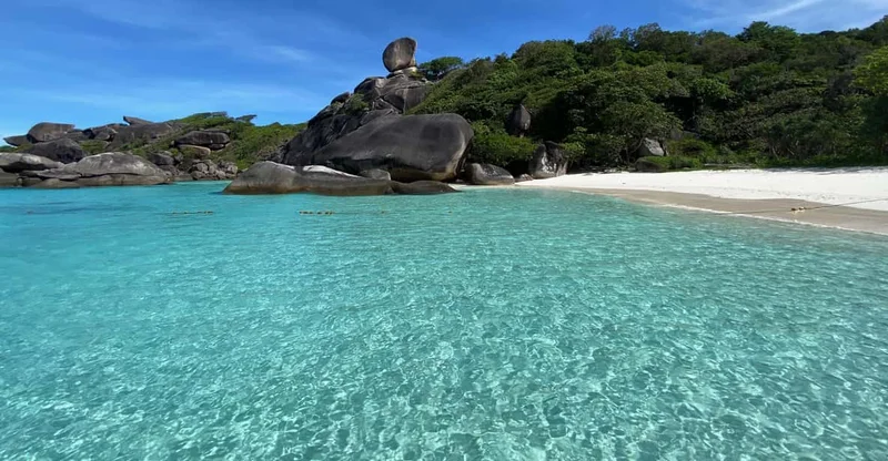 Similan Islands: Early-Bird Snorkeling Day Trip from Phuket & Khao Lak, swim with turtles in Similan Islands