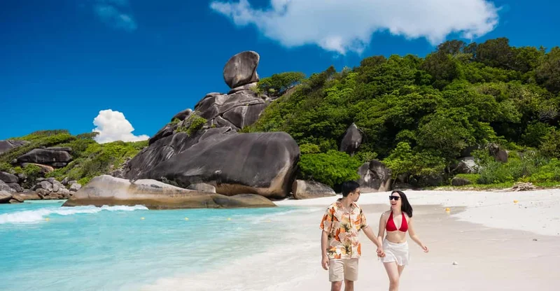 Similan Islands: Snorkeling Day Trip from Phuket or Khao Lak, swim with turtles in Similan Islands