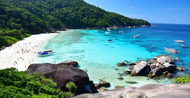 From Khao Lak & Phuket: Similan Islands Snorkeling Day Trip, swim with turtles in Similan Islands
