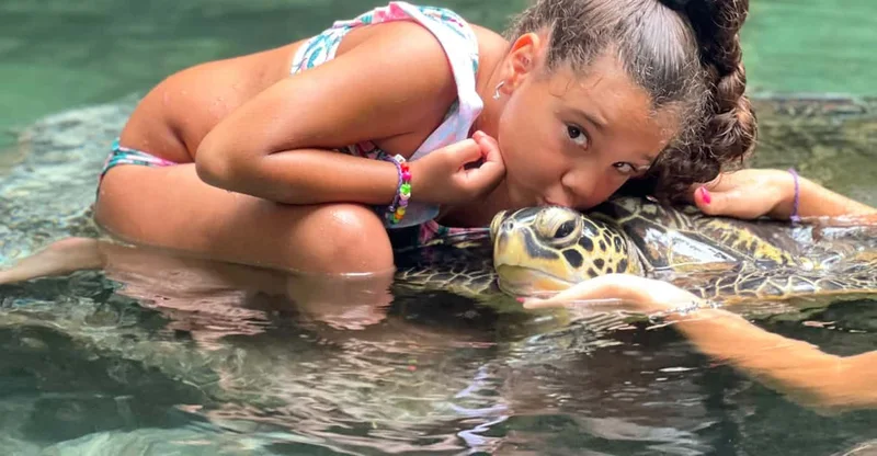 Zanzibar: Nungwi Turtle Sanctuary Swim & Visit, swim with turtles in Zanzibar, Tanzania