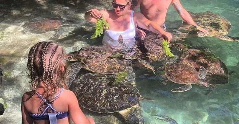 Zanzibar: Baraka Natural Aquarium Turtle Swim, Nungwi, swim with turtles in Zanzibar, Tanzania